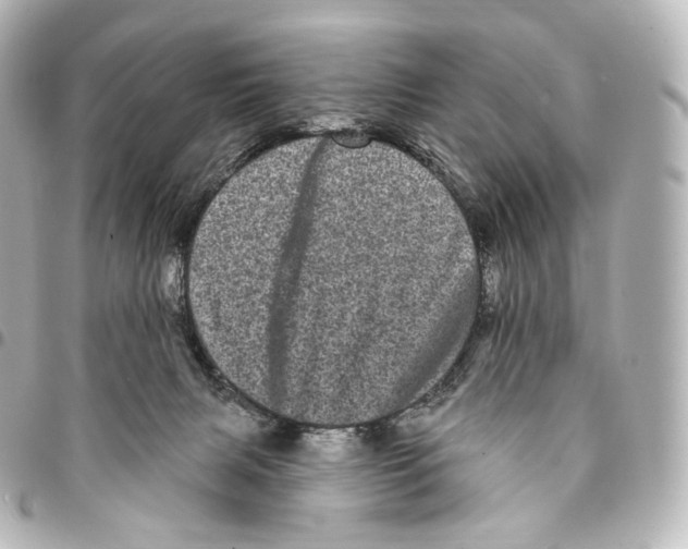 X0000094960079200712271729