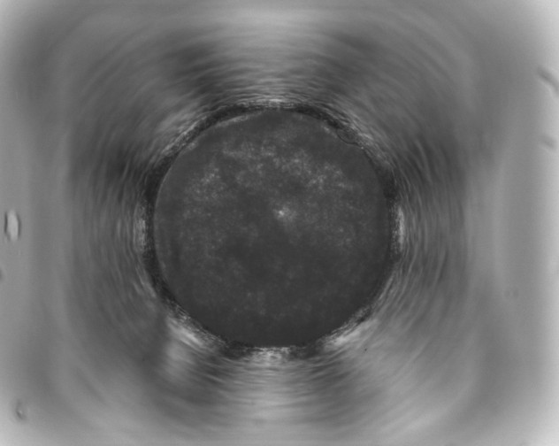 X0000094960080200712271729