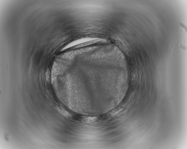 X0000094960081200712271729