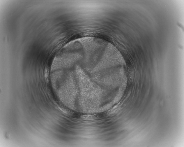 X0000094960082200712271729