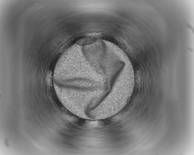 X0000094960083200712271729