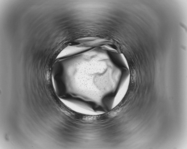 X0000094960084200712271729