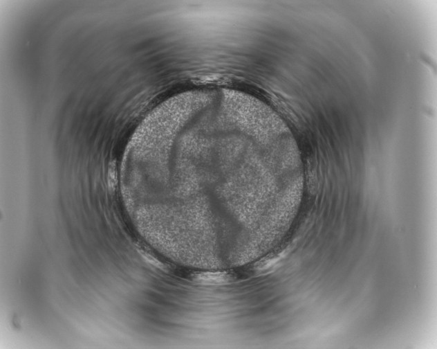 X0000094960085200712271729