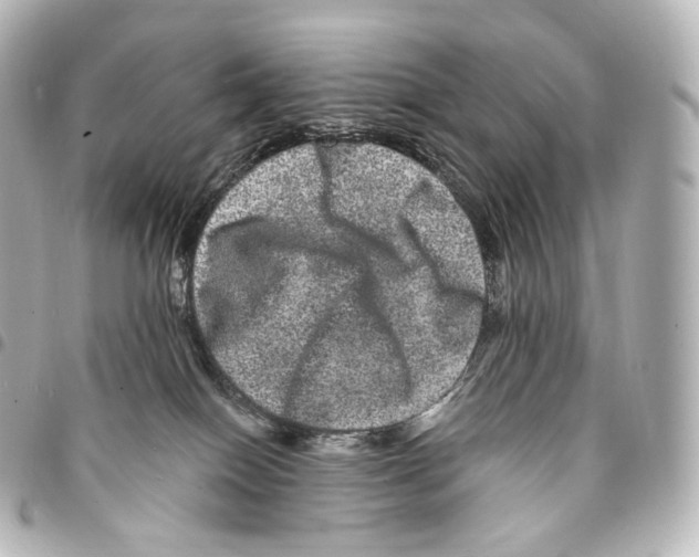 X0000094960086200712271729