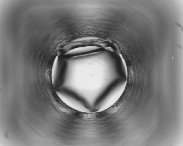 X0000094960088200712271729