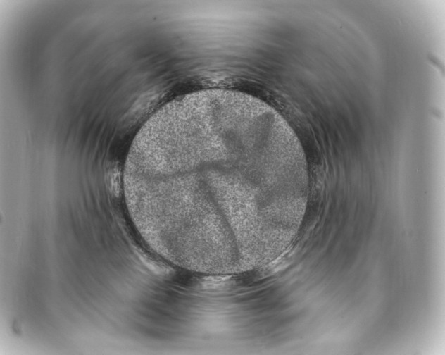 X0000094960090200712271729