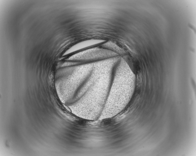 X0000094960092200712271729
