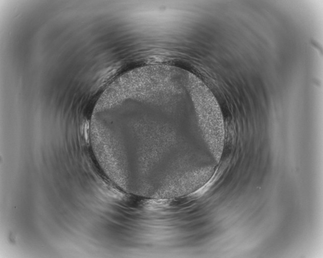 X0000094960094200712271729