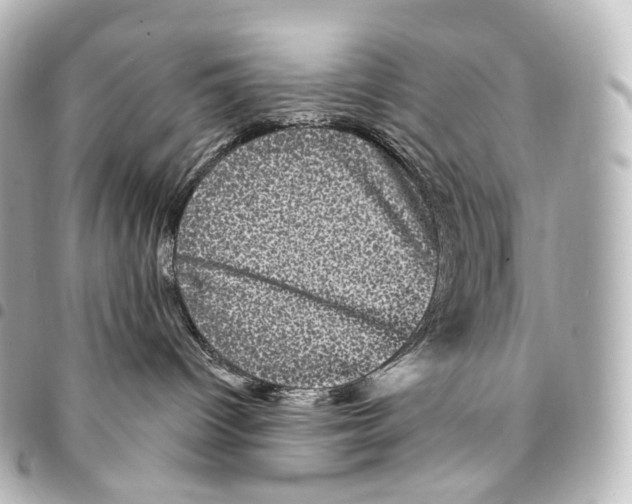 X0000094960096200712271729