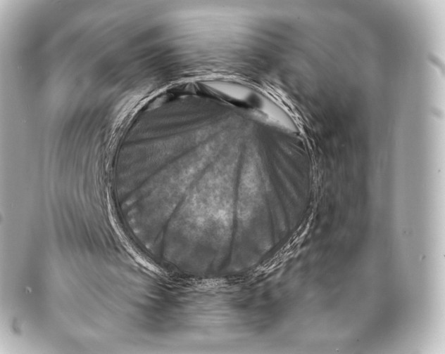 X0000094960097200712271728