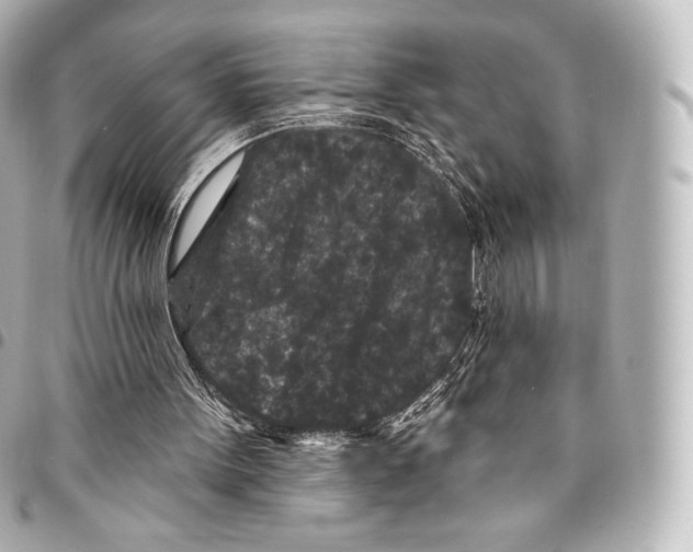 X0000094960099200712271728
