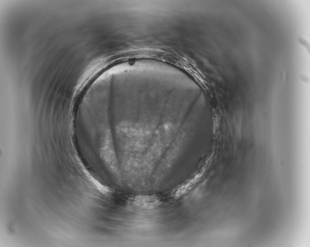 X0000094960101200712271728
