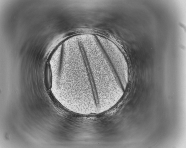X0000094960103200712271728