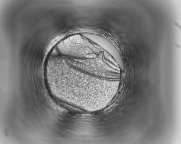 X0000094960104200712271728
