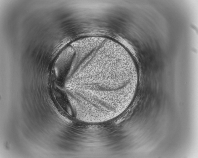 X0000094960105200712271728