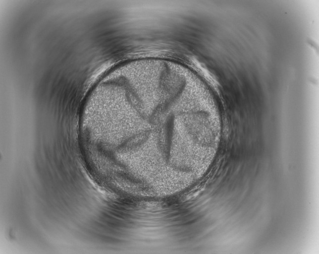 X0000094960107200712271728