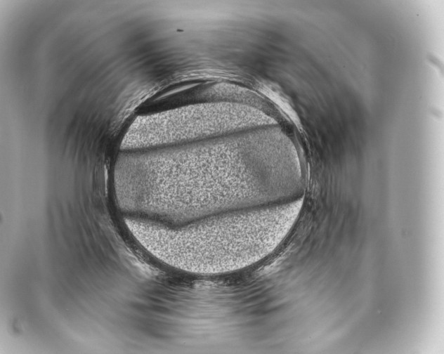 X0000094960109200712271728