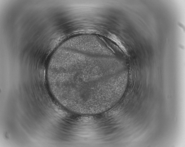X0000094960110200712271728