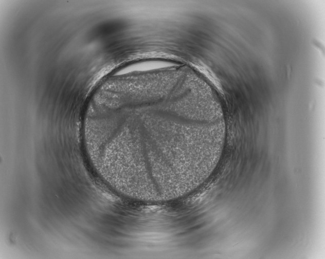 X0000094960111200712271728