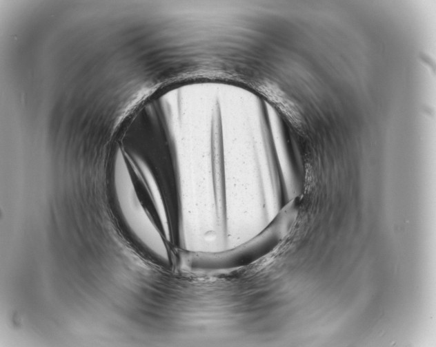 X0000094960112200712271728
