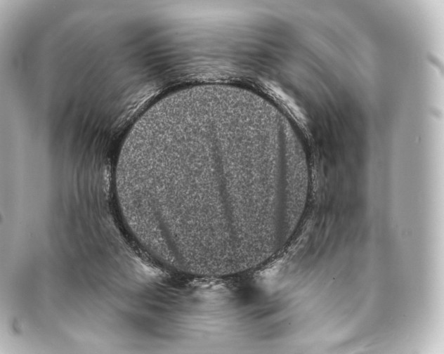 X0000094960113200712271728
