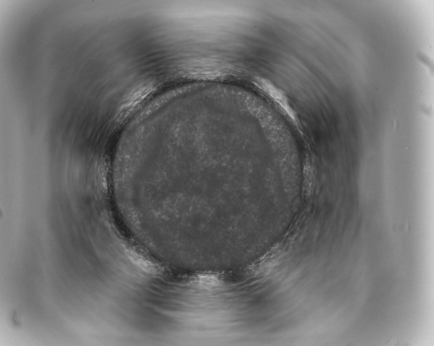 X0000094960114200712271728