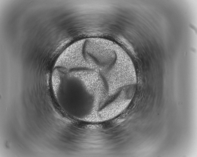 X0000094960115200712271728