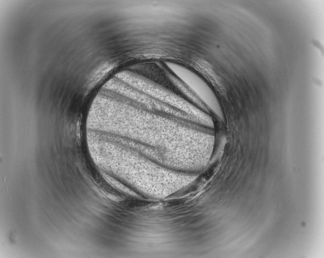 X0000094960116200712271728