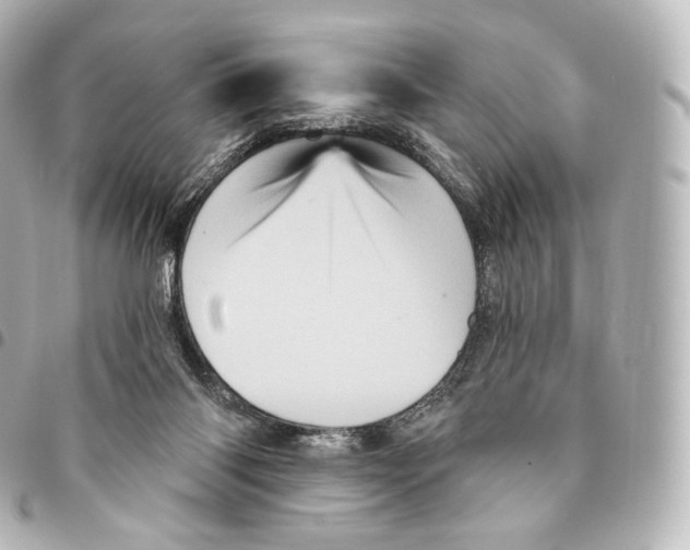 X0000094960118200712271728