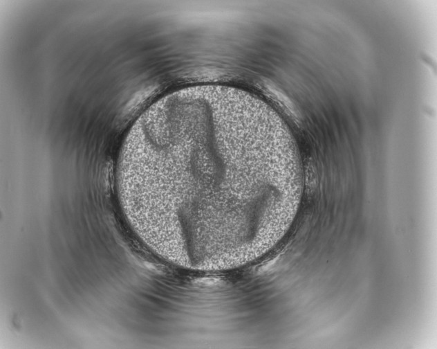 X0000094960119200712271728