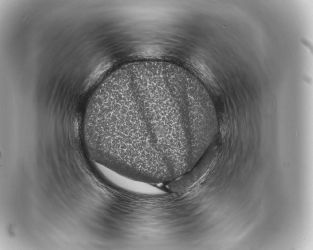 X0000094960120200712271728