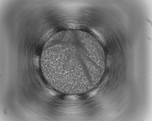 X0000094960121200712271728