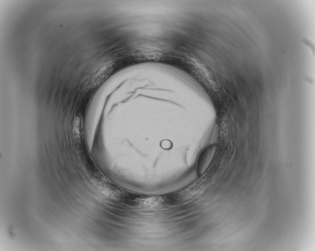 X0000094960122200712271728