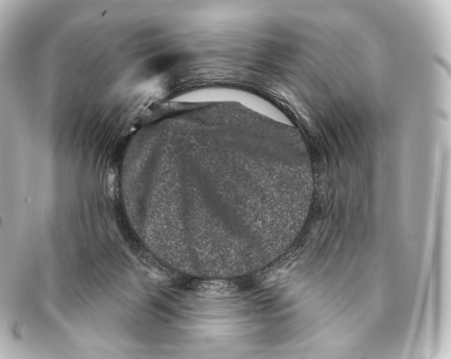 X0000094960123200712271728