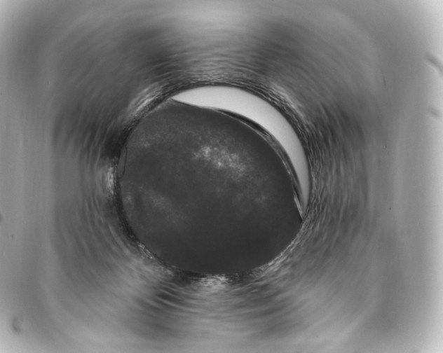 X0000094960124200712271728