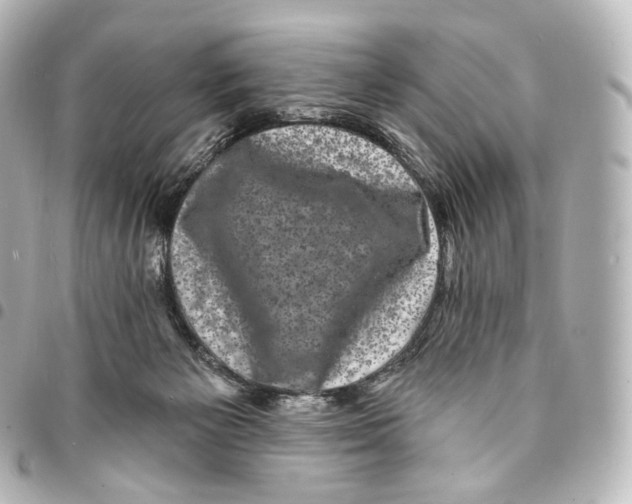 X0000094960125200712271728