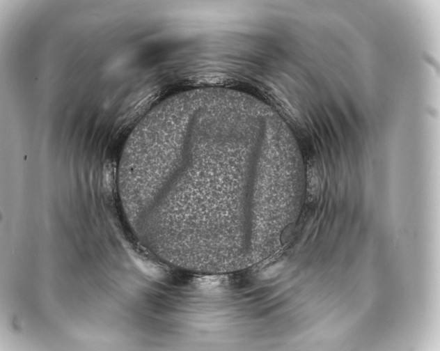 X0000094960126200712271728