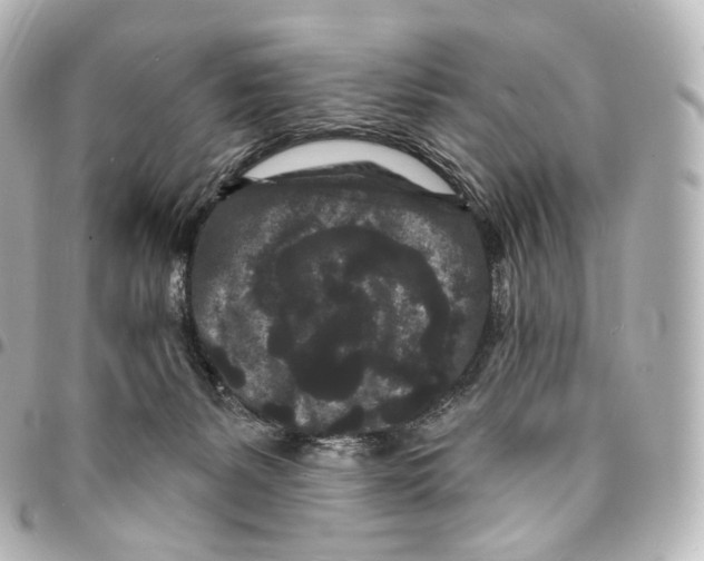 X0000094960127200712271728