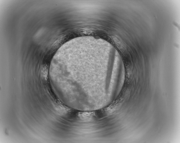 X0000094960129200712271728