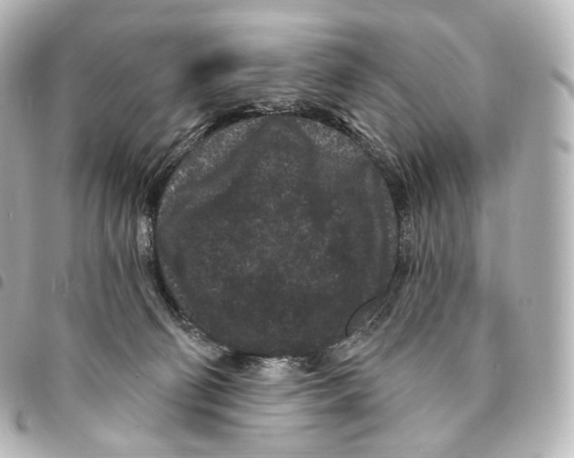 X0000094960130200712271728