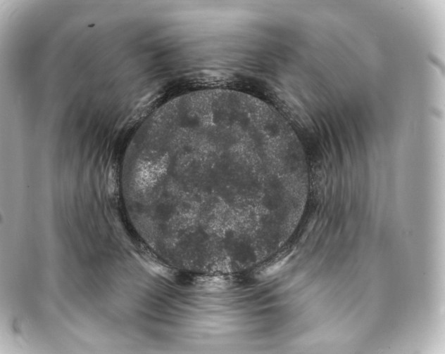 X0000094960131200712271728