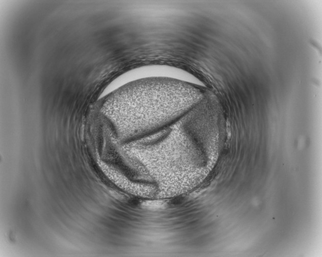 X0000094960133200712271728
