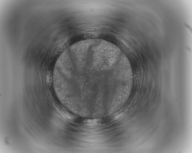 X0000094960134200712271728