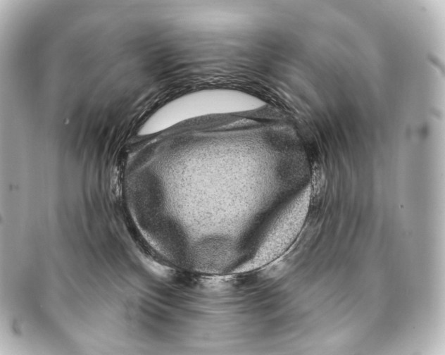 X0000094960136200712271728