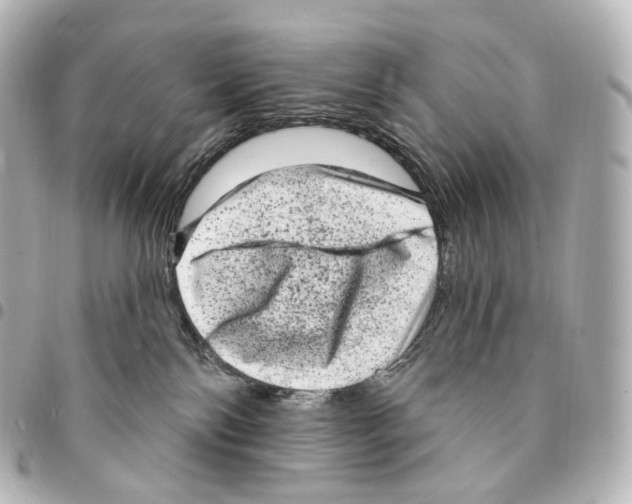 X0000094960138200712271728