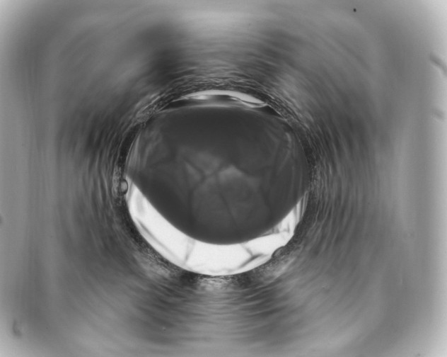 X0000094960139200712271728