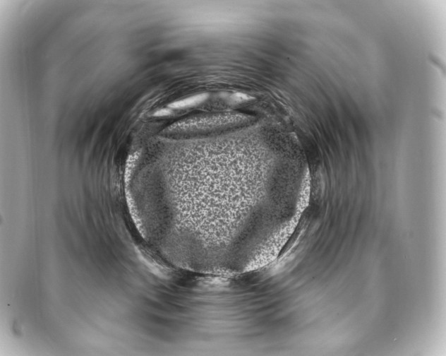 X0000094960140200712271728