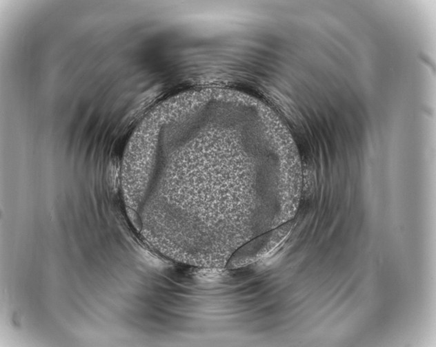 X0000094960142200712271728
