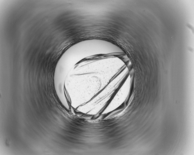 X0000094960144200712271728
