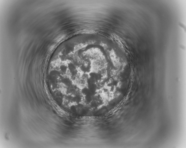 X0000094960145200712271727